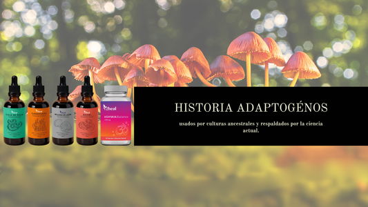 🌿 Historia y uso ancestral de los adaptógenos: reishi, cola de pavo, melena de león, cordyceps y ashwagandha