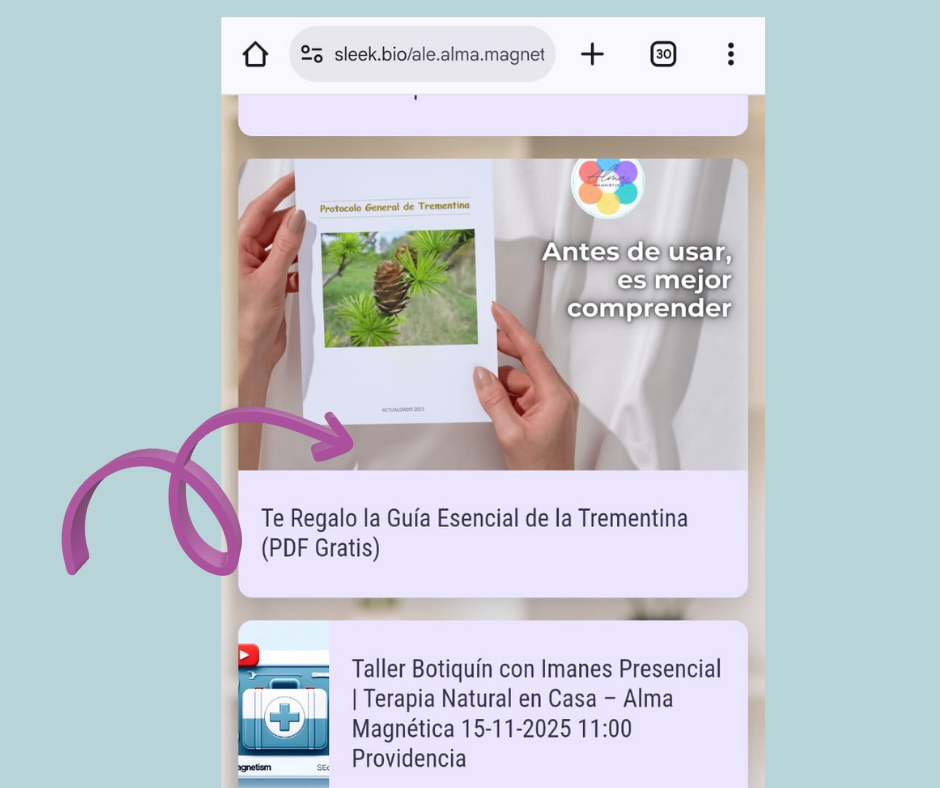 Guía Esencial de la Trementina (PDF Gratis) | AlmaMagnética
