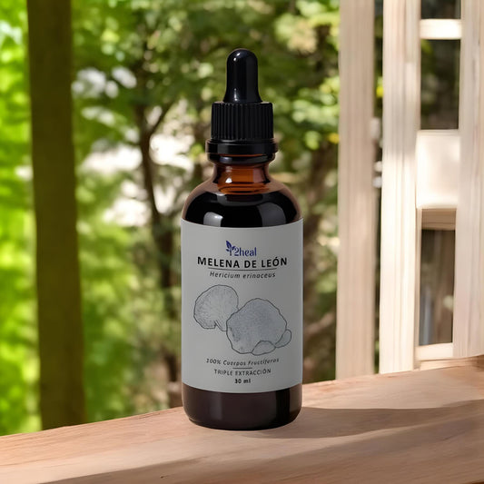 🍄 Melena de León en Gotas – Salud cerebral, digestiva y emocional