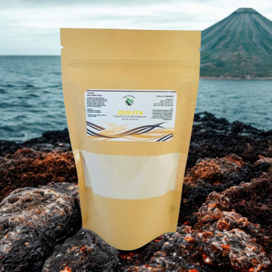 ZEOLITA MICRONIZADA