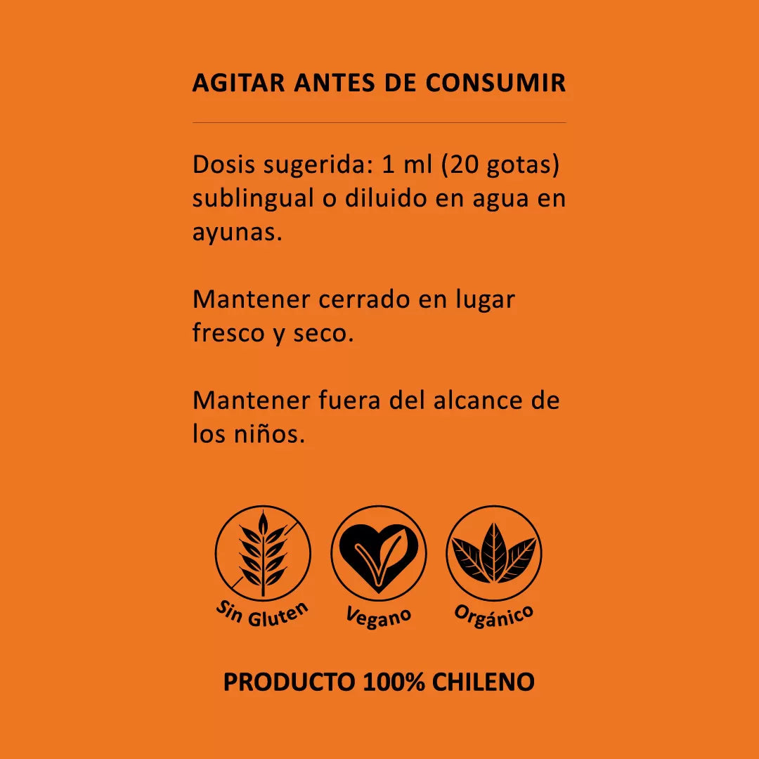 🍄Cordyceps en Gotas – Energía, respiración y equilibrio natural