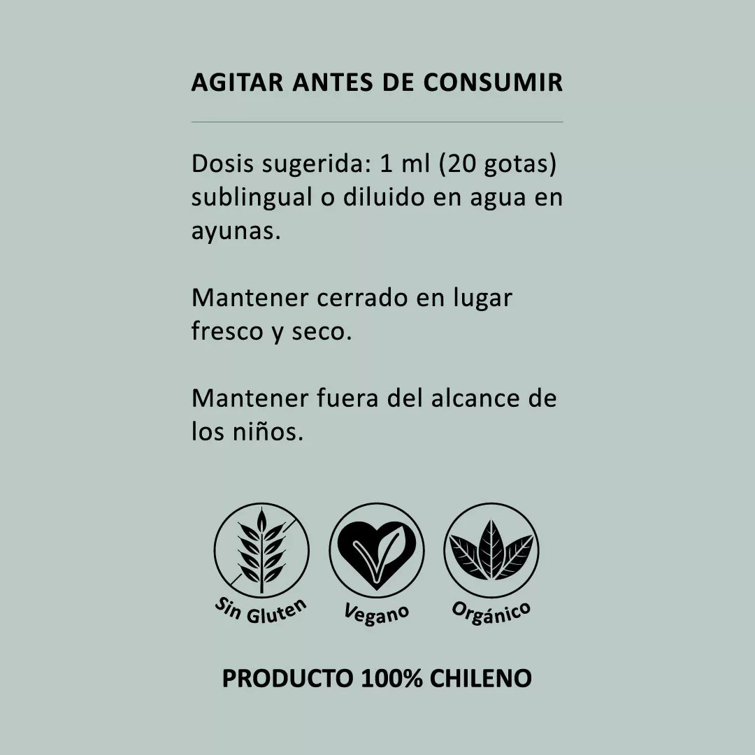 🍄 Melena de León en Gotas – Salud cerebral, digestiva y emocional