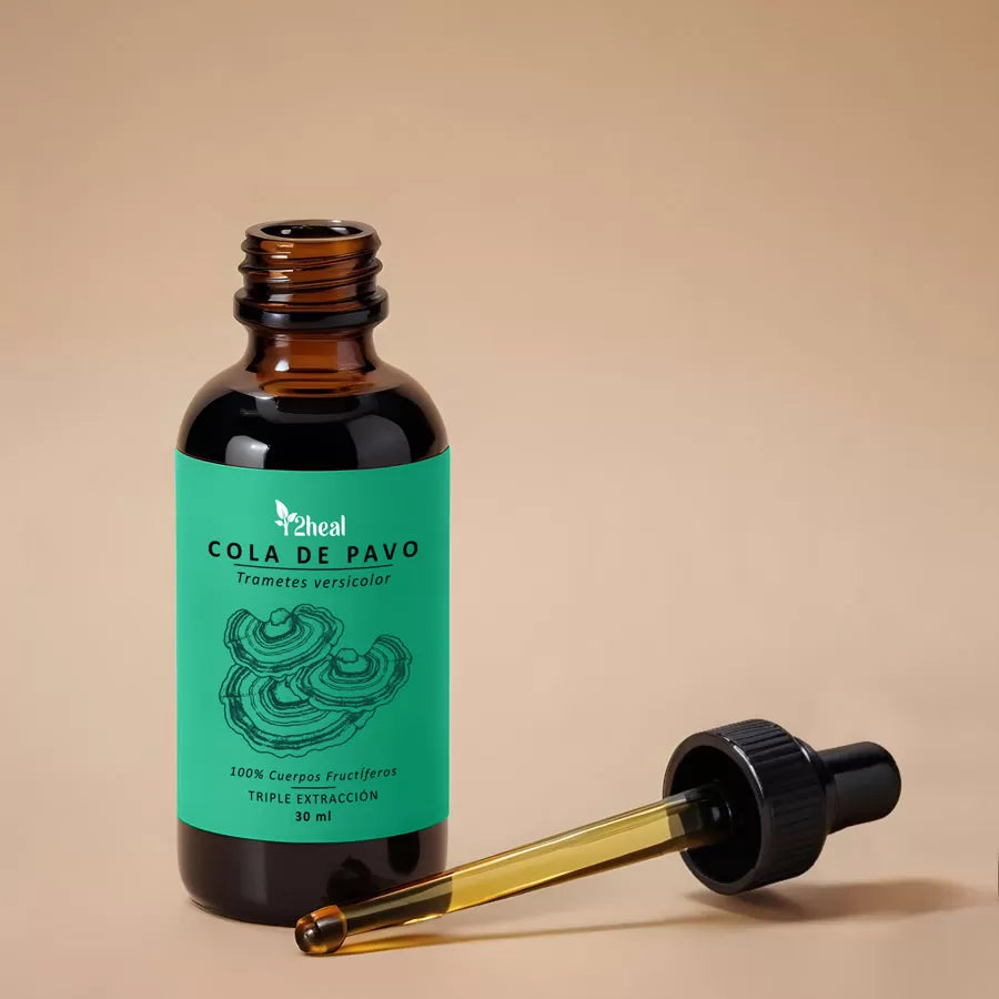 🍄 Cola de Pavo en Gotas – Defensa inmunológica y equilibrio digestivo