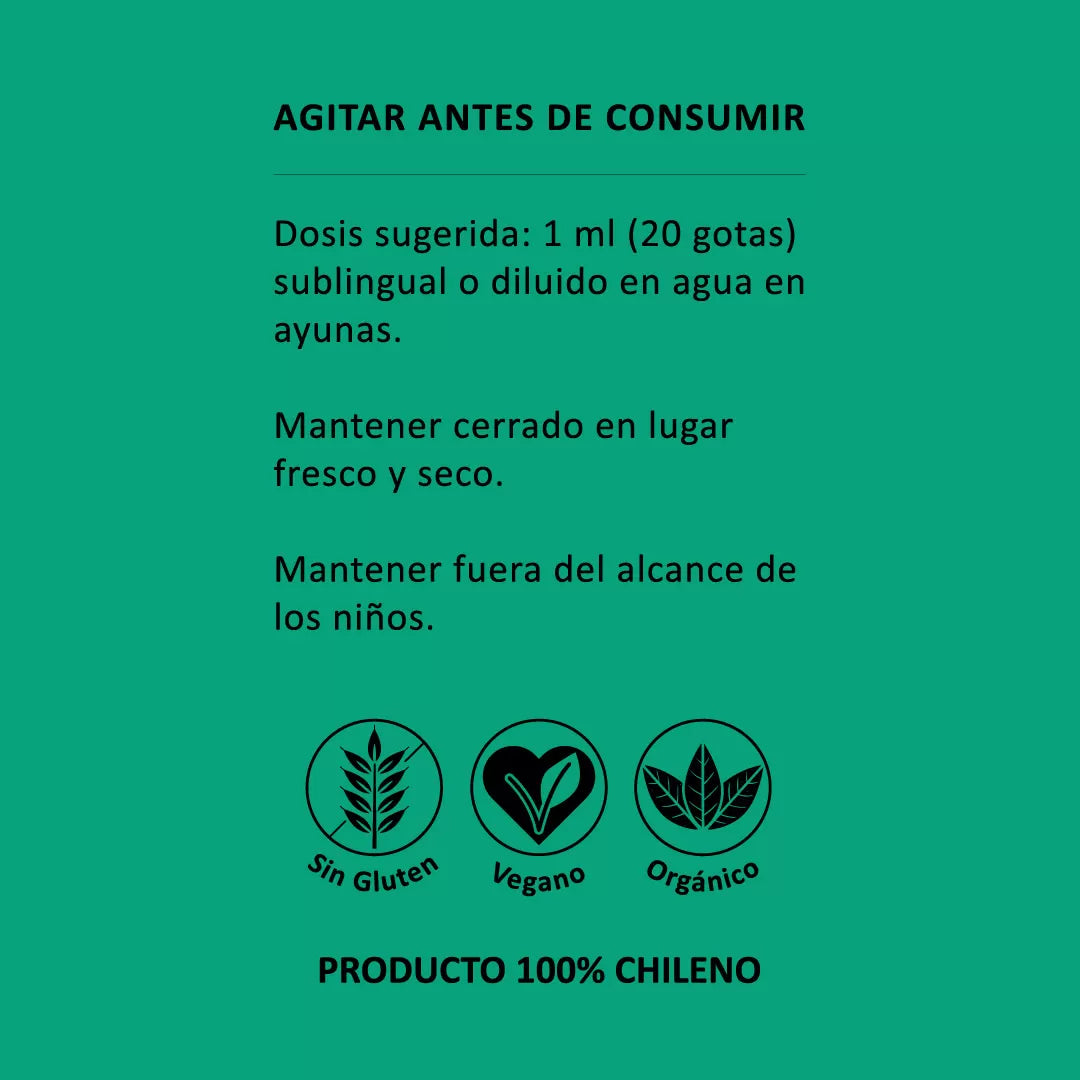 🍄 Cola de Pavo en Gotas – Defensa inmunológica y equilibrio digestivo