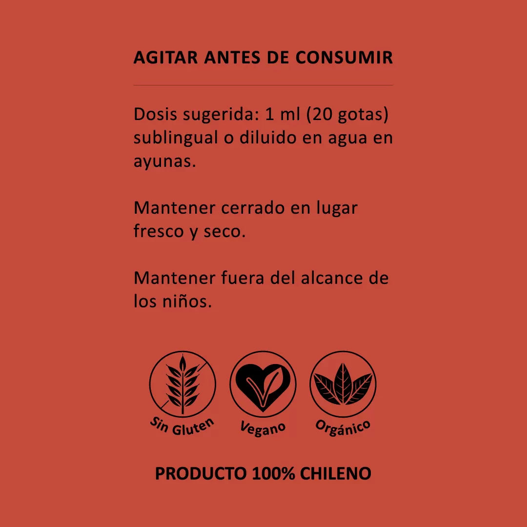 🍄Reishi en Gotas – Equilibrio, energía y defensa natural