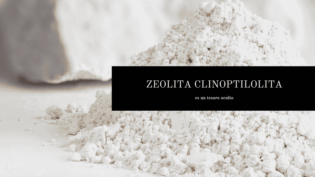 El Poder Natural de la Zeolita 🌿