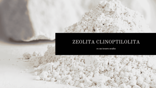 El Poder Natural de la Zeolita 🌿