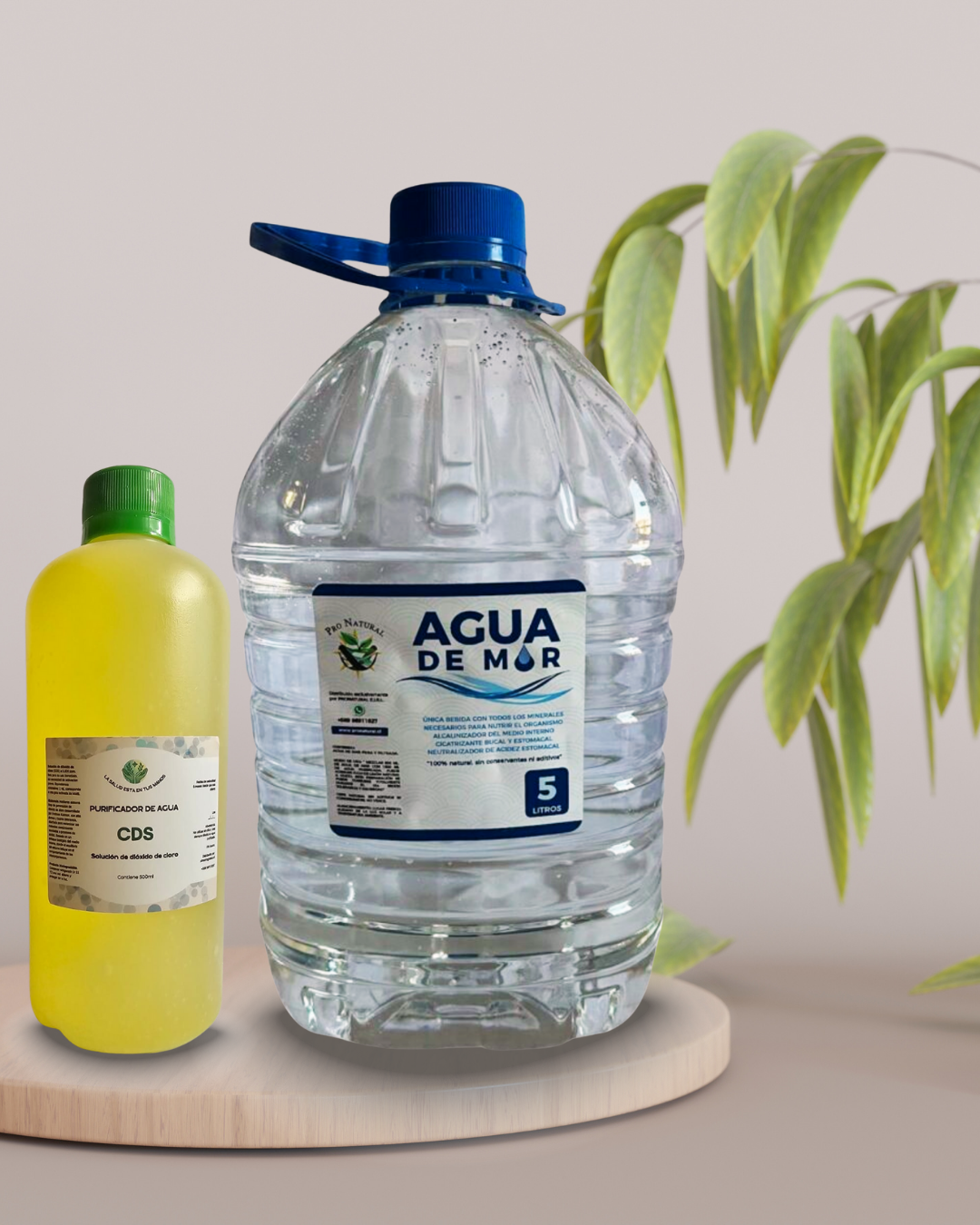 Promo CDS + Agua de Mar