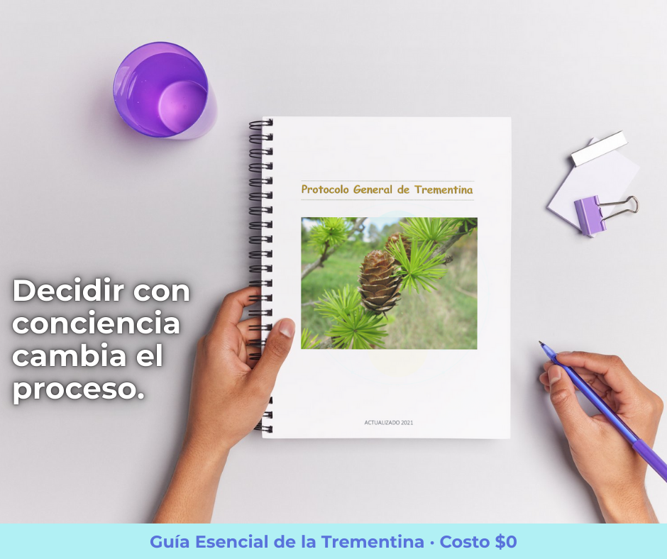 Guía Esencial de la Trementina (PDF Gratis) | AlmaMagnética