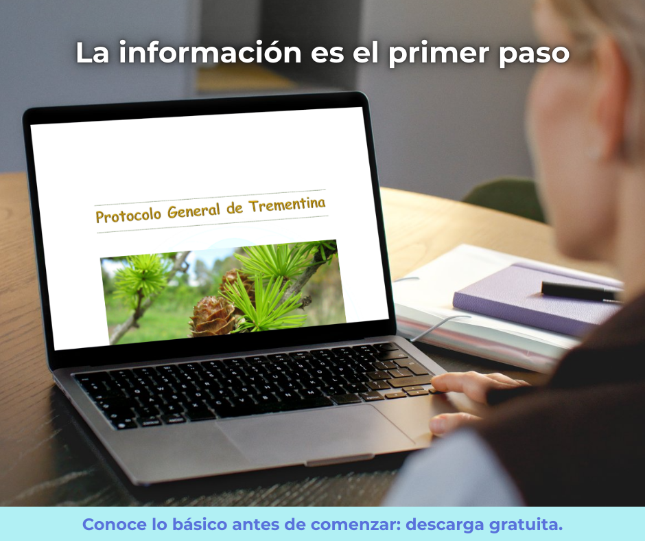 Guía Esencial de la Trementina (PDF Gratis) | AlmaMagnética