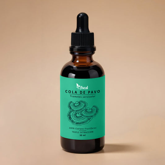 🍄 Cola de Pavo en Gotas – Defensa inmunológica y equilibrio digestivo