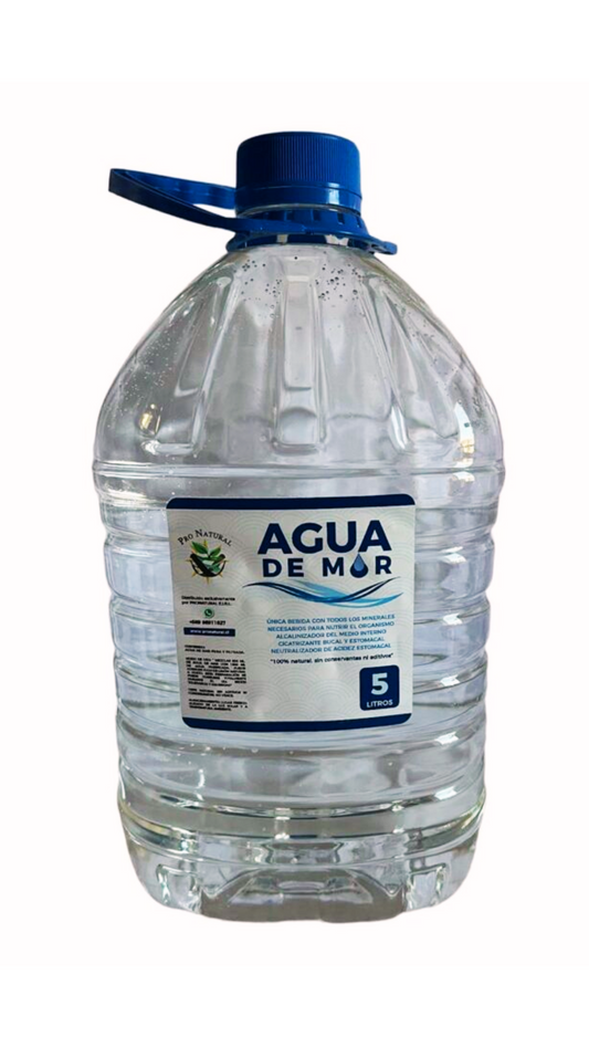AGUA DE MAR 5L